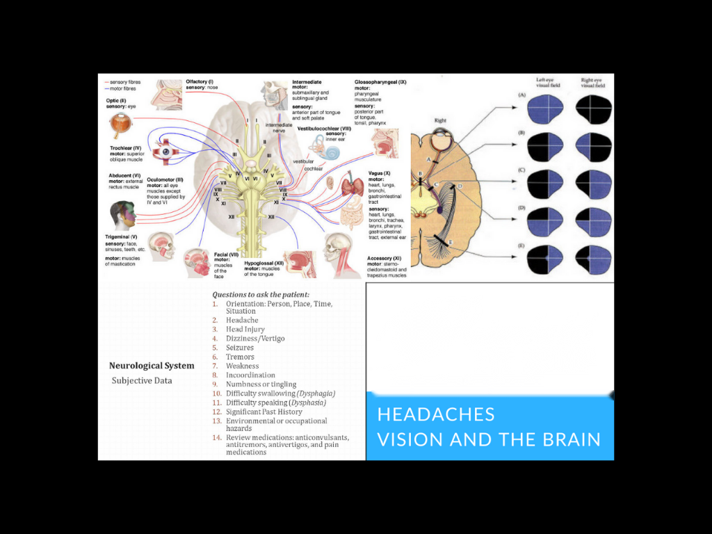 Neuro-ophthalmology